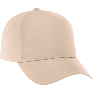 Unisex DOMINATE Ballcap