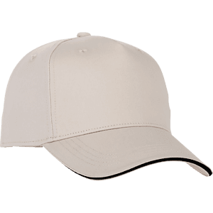 Unisex Zest Ballcap