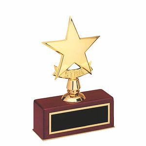 Star Casting on Rosewood Piano Finish Base (5x7.5)