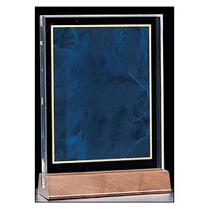 Acrylic Award with a Sapphire Marble Center (7x9 58)