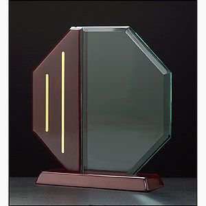 Octagon Acrylic Award on a Piano Finish Base (9.25x9 58)