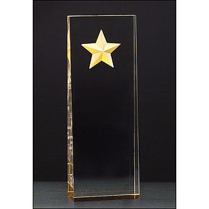 Constellation Acrylic Award with Etched Gold Star (2 78 x 8)