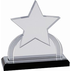 7 14 Silver Carved Star Impress Acrylic Award