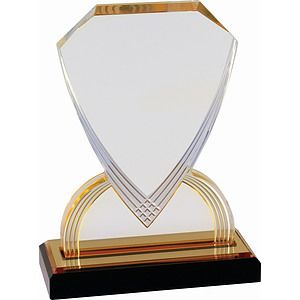 8 Gold Carved Shield Impress Acrylic Award