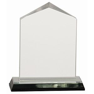 3 12 x 5 12 Silver Jewel Impress Acrylic Award