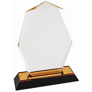 7 Gold Octagon Point Impress Acrylic Award