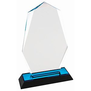 8 Blue Octagon Point Impress Acrylic Award