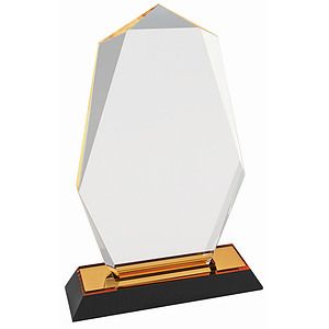 8 Gold Octagon Point Impress Acrylic Award
