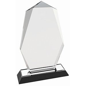 8 Silver Octagon Point Impress Acrylic Award