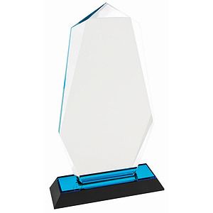 9 Blue Octagon Point Impress Acrylic Award