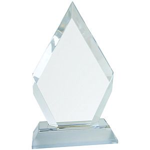 7 Silver Frosted Base Diamond Impress Acrylic Award