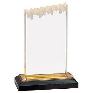 5 x 6 Gold Frosted Impress Acrylic Award