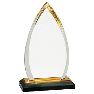 8 34 Gold Oval Impress Acrylic Award