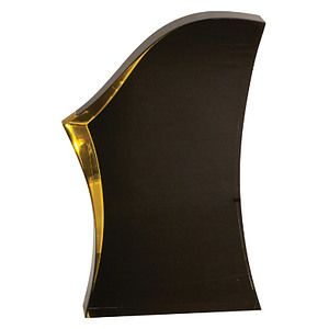 8 BlackGold Luminary Acrylic Surge Award