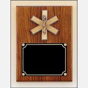 Walnut Plaque with Emergency Medical Casting (9 x 12)