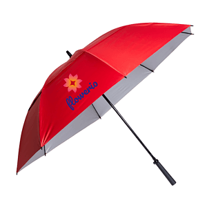 The Raydefyer Umbrella