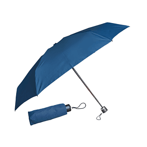 The Bitty Umbrella