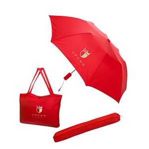 All-In-One Tote Bag  Folding Umbrella
