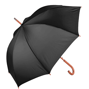The Hotel Umbrella