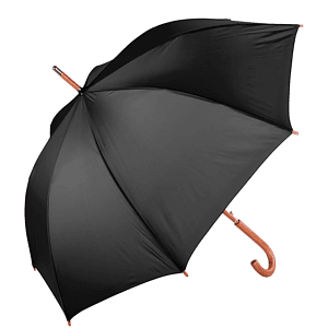 The Hotel Umbrella