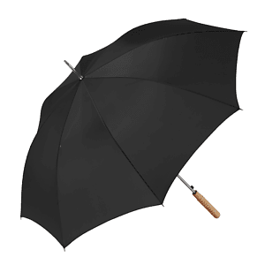 Stick Umbrella