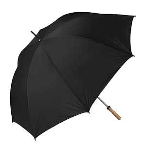 The Booster Umbrella