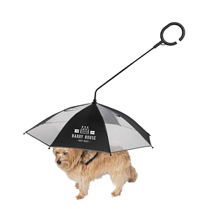 The Doggo Umbrella