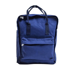 The Mini Backpack