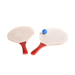 Paddle Board Game