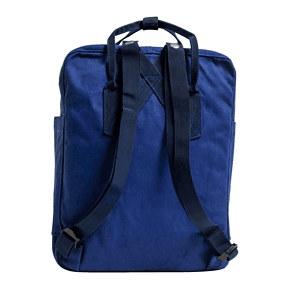 The Mini Backpack