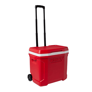 Igloo Profile II® 28-quart Cooler