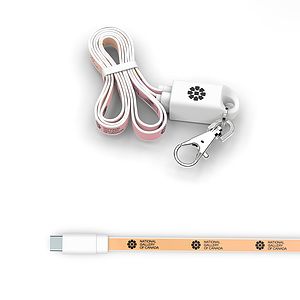 Lanyard Type C : Event badge holder and USB C charging cable