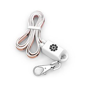 Lanyard Type C : Event badge holder and USB C charging cable