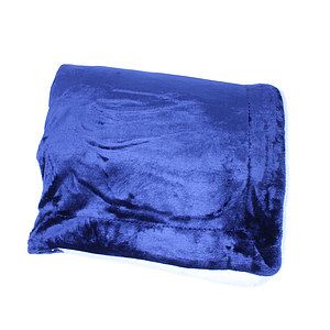 Palmetto Challenger Blanket