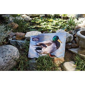 SPORT TOWEL - 16x25 2.5lb/doz