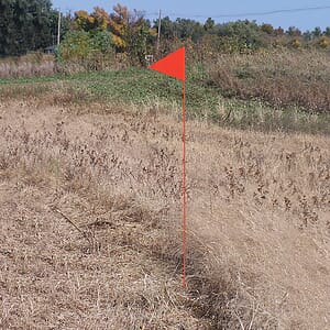 Solid Color Orange Pennant Field Flag w/Orange Staff