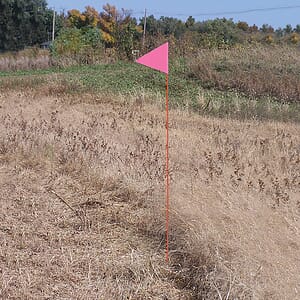 Solid Color Pink Pennant Field Flag w/Orange Staff