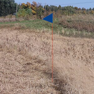 Solid Color Blue Pennant Field Flag w/Orange Staff
