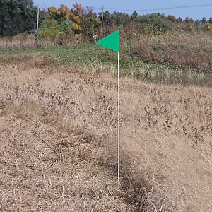 Solid Color Green Pennant Field Flag w/White Staff