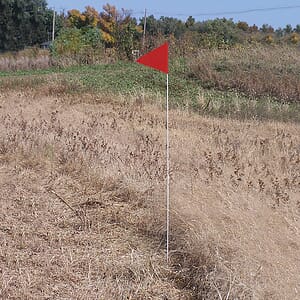 Solid Color Red Pennant Field Flag w/White Staff