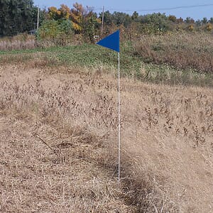 Solid Color Blue Pennant Field Flag w/White Staff