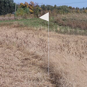 Solid Color White Pennant Field Flag w/White Staff