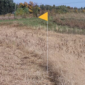 Solid Color Yellow Pennant Field Flag w/White Staff
