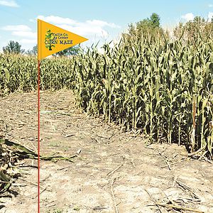 Custom Printed Field Flag - Double Sided