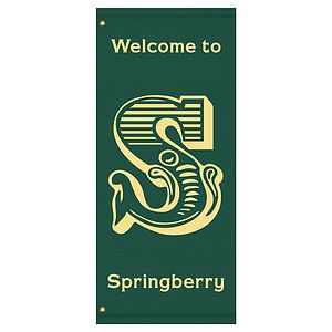 60" x 30" Custom Sunbrella™ Avenue Banner-1 Color Imprint