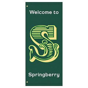 60" x 30" Custom Sunbrella™ Avenue Banner-3 Color Imprint