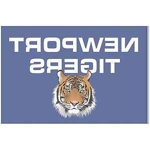 20' X 30' Digitally Printed Single Reverse Nylon Flag