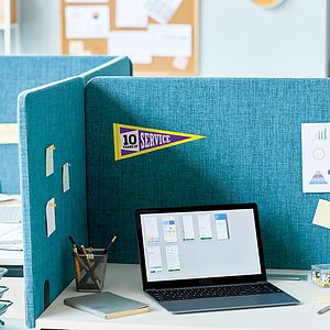4" x 10" Custom Printed Soft Felt Pennant