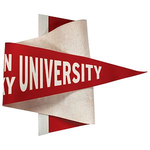 9" x 24" Custom Printed Soft Felt Pennant