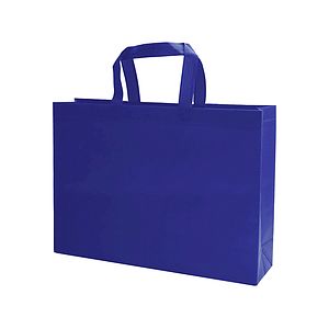 16X12X4 Non-Woven Tote Bag
